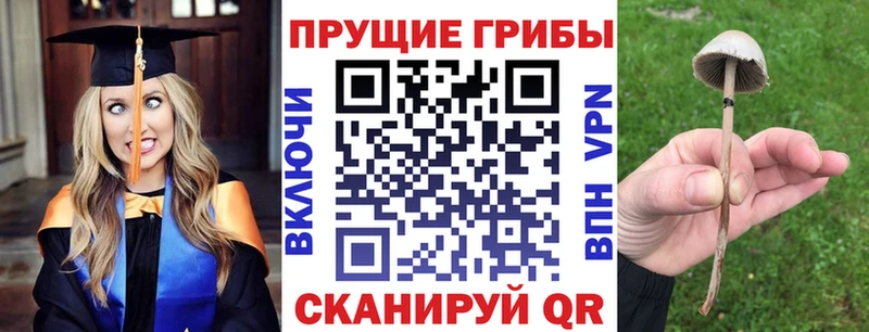 купить наркоту  KRAKEN ссылки  Псилоцибиновые грибы прущие грибы  Лахденпохья 